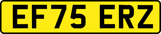 EF75ERZ
