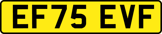 EF75EVF