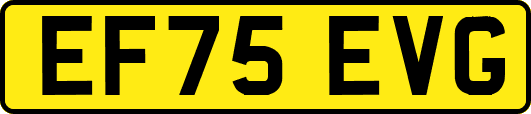 EF75EVG