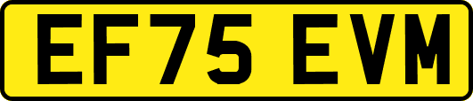 EF75EVM