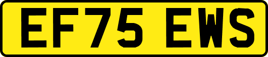 EF75EWS