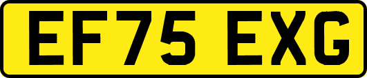 EF75EXG