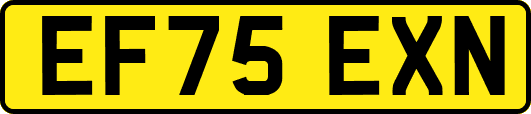 EF75EXN