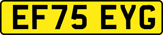 EF75EYG
