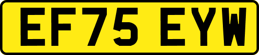 EF75EYW