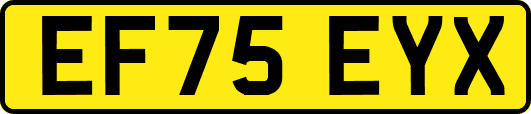 EF75EYX