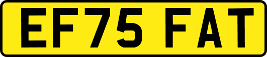 EF75FAT