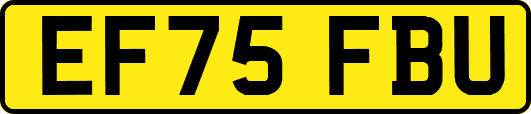 EF75FBU