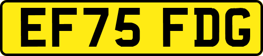 EF75FDG