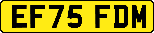 EF75FDM