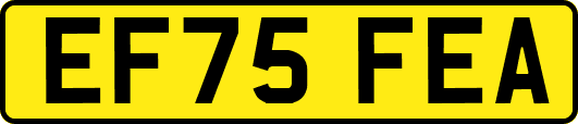 EF75FEA