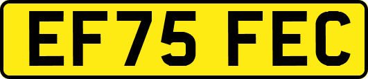 EF75FEC