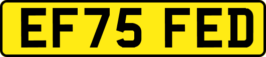 EF75FED