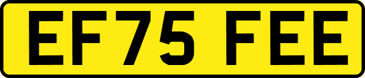 EF75FEE