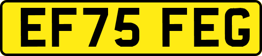 EF75FEG