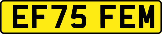 EF75FEM