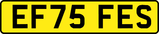 EF75FES