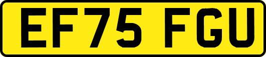 EF75FGU