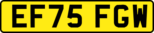 EF75FGW