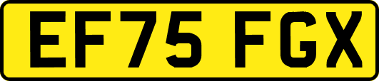 EF75FGX