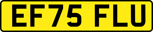 EF75FLU