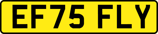 EF75FLY
