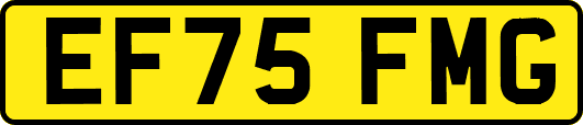 EF75FMG