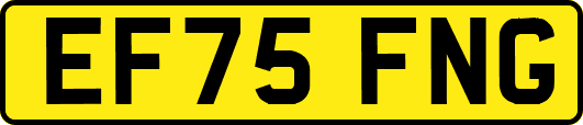 EF75FNG