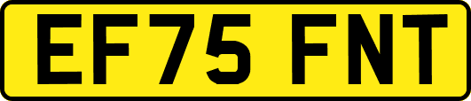 EF75FNT