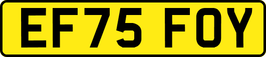 EF75FOY