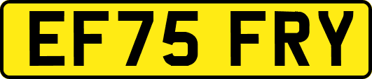 EF75FRY