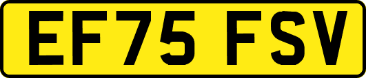 EF75FSV