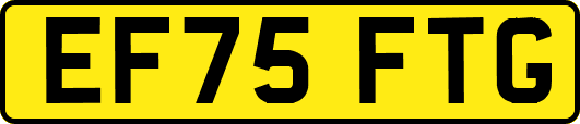 EF75FTG