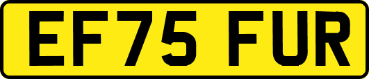 EF75FUR