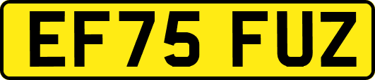 EF75FUZ