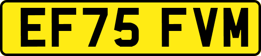 EF75FVM