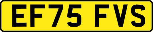 EF75FVS
