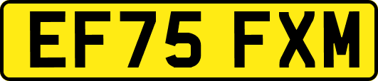 EF75FXM