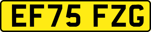 EF75FZG