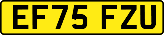 EF75FZU