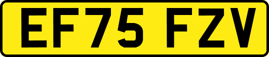 EF75FZV