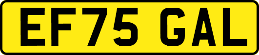 EF75GAL