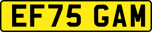 EF75GAM