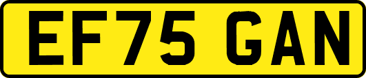 EF75GAN