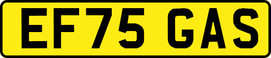 EF75GAS