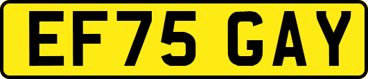 EF75GAY
