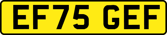 EF75GEF