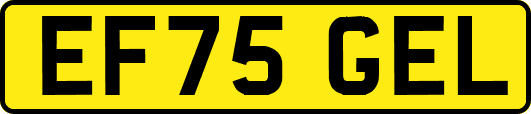 EF75GEL