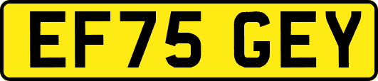 EF75GEY