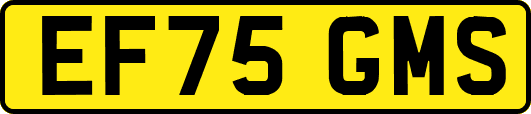 EF75GMS
